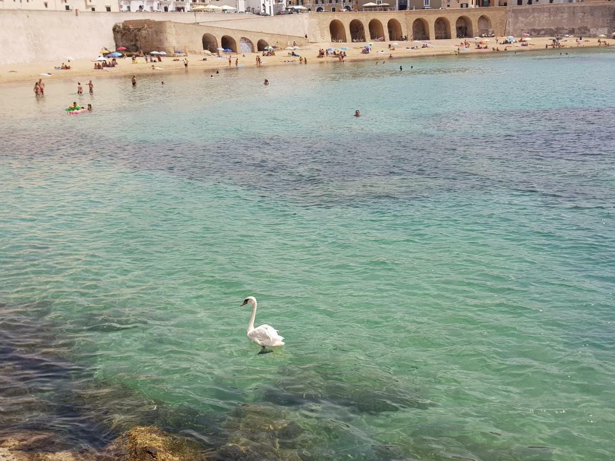Bilocale Dillo Alla Luna Gallipoli Luaran gambar